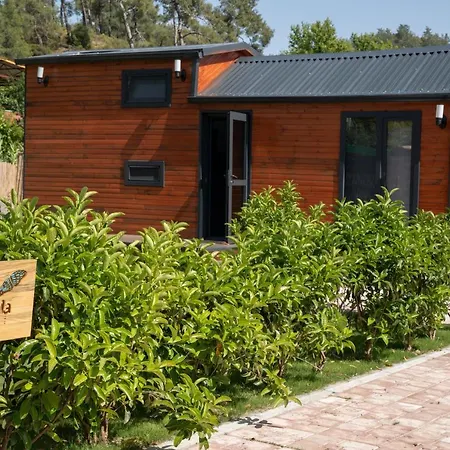 Kleva Houses 아파트호텔 페티예